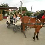 Guest house Pidkova чан сауна приймаємо групи до 70людей