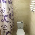 Guest house Pidkova чан сауна приймаємо групи до 70людей 3*