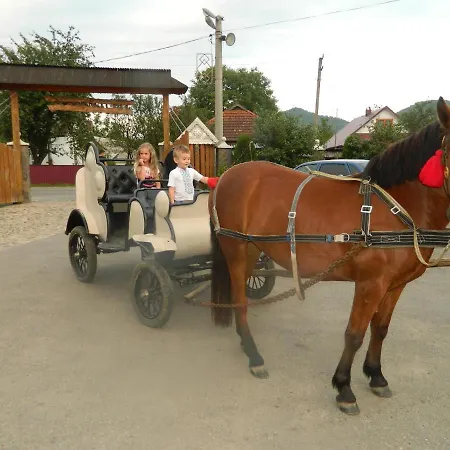 Guest house Pidkova чан сауна приймаємо групи до 70людей