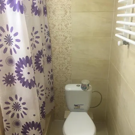 Guest house Pidkova чан сауна приймаємо групи до 70людей 3*